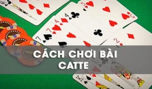 Bí Kíp Thắng Lớn Sắc Tê Nhà Cái 123B Dành Cho Cao Thủ